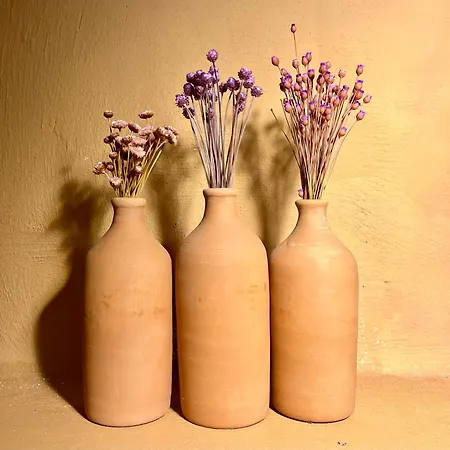 Guest house Terre Saracene